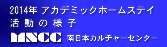 2014�N�A�J�f�~�b�N�z�[���X�e�C�����̗l�q